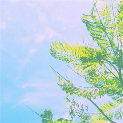 雅博app官网下载