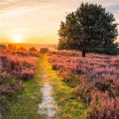 365体育官网入口