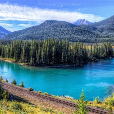 手机最快开奖结果